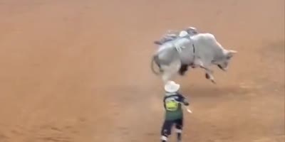 This Bull Is Really Sick Of Rodeos, Gives 2 Horns Up The Keesters.