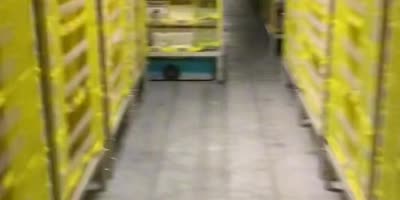 Amazon Employee Trapped By Damn Robots