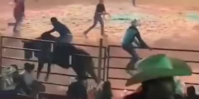 Bull charged the public during a rodeo in Mexico