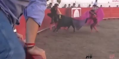 Man taken to canvas by the bull