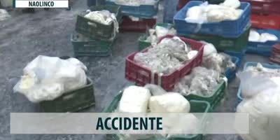 cheese accident