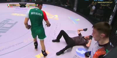 MMA Referee Kicked In The Head