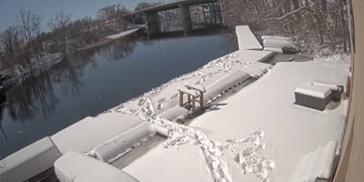 Tractor Trailer Plunging Off Bridge in Massachusetts