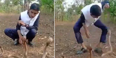 Karnataka Man Gets Bitten By Cobra