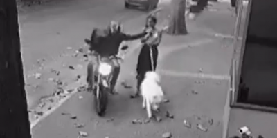Woman With Beautiful Dog Violently Robbed In Brazil