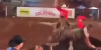 Rodeo is stupid fun