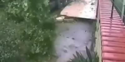Kaotic-style tree pruning