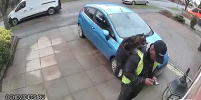Delivery Man VS Cat