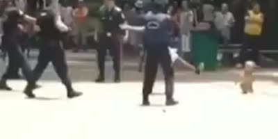 One Dude VS Six Police Officers And A Dog.
