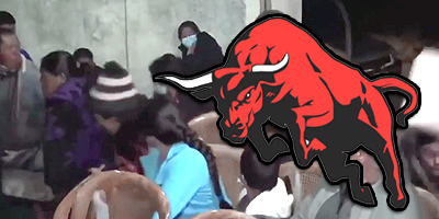 Uhh? Bull Walks into Funeral and Flattens People