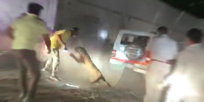 Leopard Goes On the Rampage During a Rescue Mission