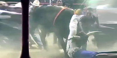 Bone-Breaking Bull Rodeo