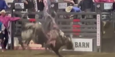 California: bull escaped the Redding Rodeo Friday night, striking 6 people and sending one woman to the hospital.
