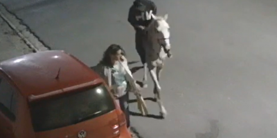 Horseman Robs A Woman In Brazil