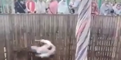 WCGW When You Are Old & Doing Stunts In The "Well Of Death"