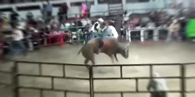Experienced Bull Rider Didn't Stand a Chance this Time