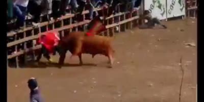 Bullfighting in Colombia gives some shit
