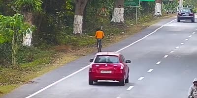 Leopard Attacks Cyclist.