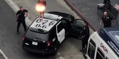 Naked man dances atop LAPD cruiser