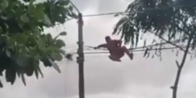 Cable Thief Caught Red Handed In Brazil