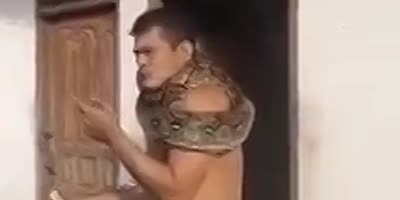 An idiot and his pet python.