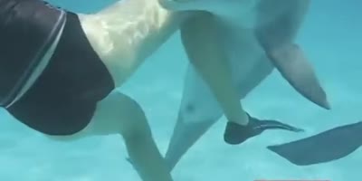 That's one horny dolphin!
