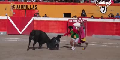 Kiko attack by angry bull