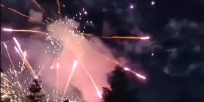 France: Bastille Day fireworks shoot into crowd