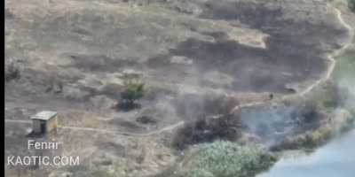 Extermination of group of militants