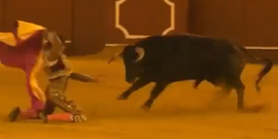 Being A Bullfighter