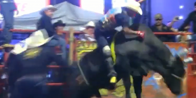 Bull Rodeo Incident, Mexico