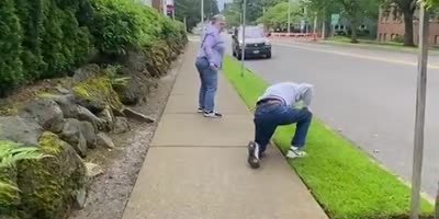 Elderly Portland Couple Fighting In The Street