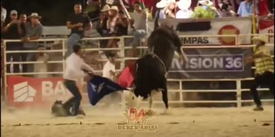 A Short Compilation Of Bullfighters Getting Screwed