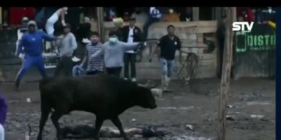Man Stomped By Bull In Ecuador