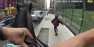 NYPD Cop Riding Horse Chasing Sunglass Vendor Robber