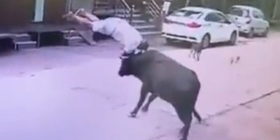 Man Attacked By The Bull In India