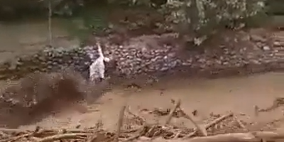 Two Carried Away During Flash Flood