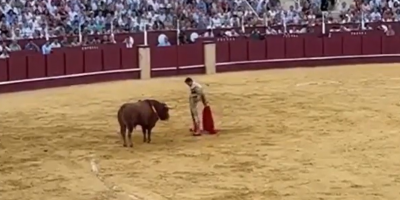 Spainish Bullfighter Makes One Wrong Move