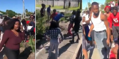 Whole damn neighborhood fighting