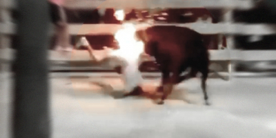 Bull + Fire = Your Ass is Fucked