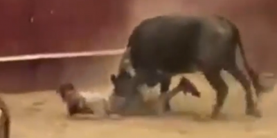 Bull attacks in Spain