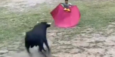 Last Bullfight On Arena In Peru