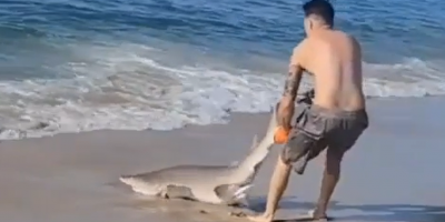Crazy Dude Fights With A Shark In New York