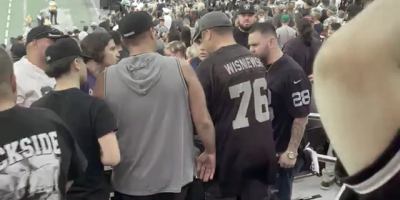 Fight Breaks Out in Stands at NFL Preseason Game
