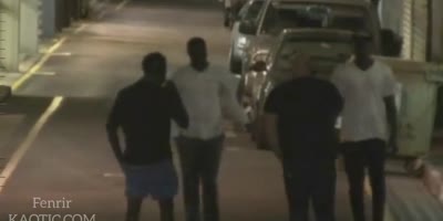 Sudanese asylum seekers harass and rob a white man(R)