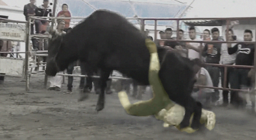 Bull Rider Gets Stomped in Mexico