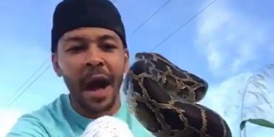 Dude Being Bit In The Face By A Snake.