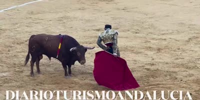 Fucking spanish bullfighter