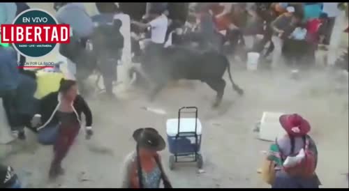Compilation From Latest Bull Fest In Mexico