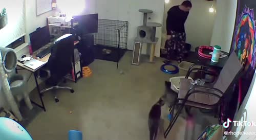 Man Trying To Take Care Of His Friend's Cats Gets Mauled By One.